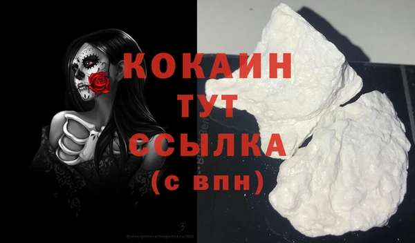 мяу мяу мука Аркадак
