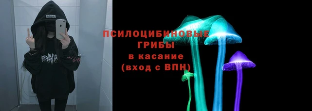 соль ск Армянск