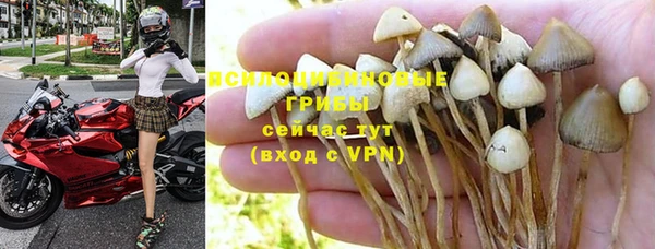 мяу мяу мука Аркадак