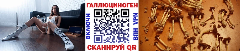 Галлюциногенные грибы прущие грибы  Одинцово 